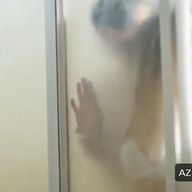 Kin