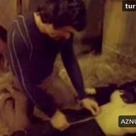 Son Gulen Tam Guler