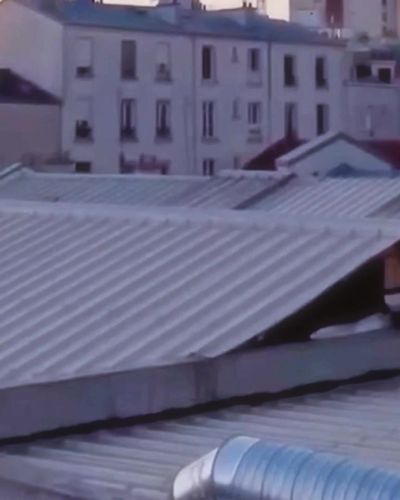 Alvin Soprano seksi ifşa fotoğrafı 8 — French Kills (2015)