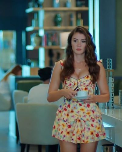 Burcu Özberk seksi ifşa fotoğrafı 1155