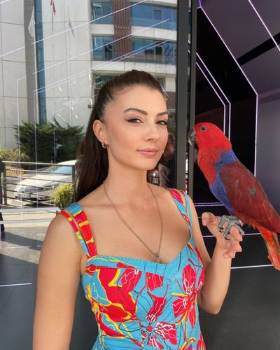 Burcu Özberk seksi ifşa fotoğrafı 1274