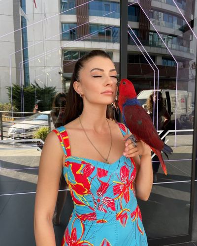 Burcu Özberk seksi ifşa fotoğrafı 1300