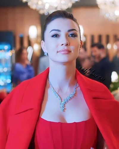 Burcu Özberk seksi ifşa fotoğrafı 223