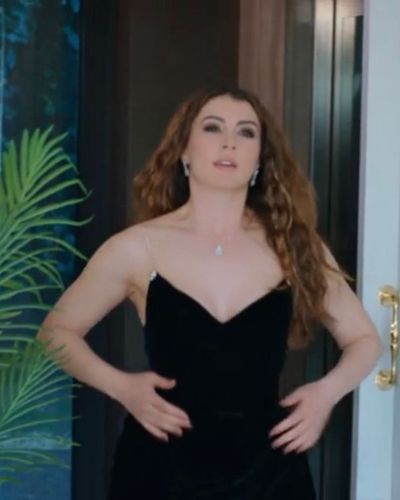 Burcu Özberk seksi ifşa fotoğrafı 807
