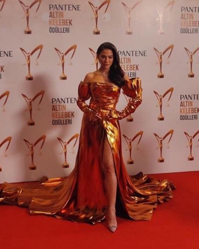 Demet Özdemir seksi ifşa fotoğrafı 804