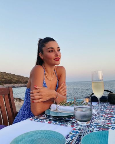 Hande Ercel seksi ifşa fotoğrafı 1291