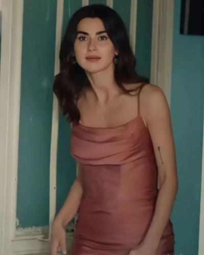 Nesrin Cavadzade seksi ifşa fotoğrafı 429