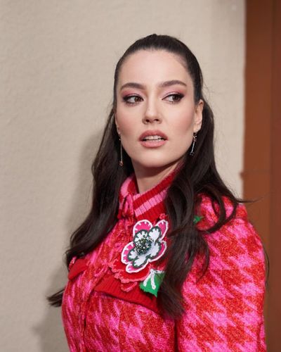 Pelin Akil seksi ifşa fotoğrafı 811
