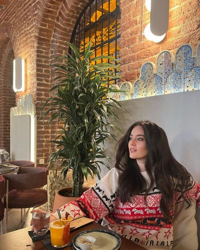 Pelin Akil seksi ifşa fotoğrafı 847