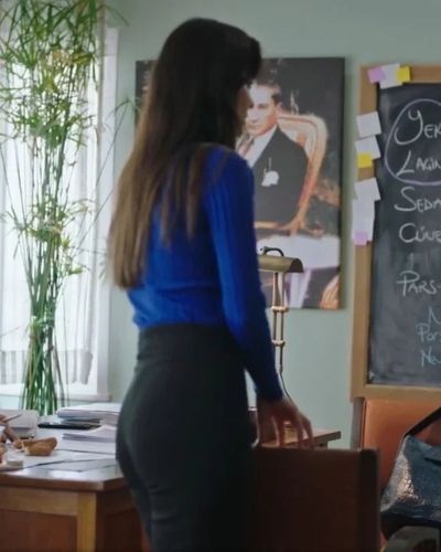 Pınar Deniz seksi ifşa fotoğrafı 458