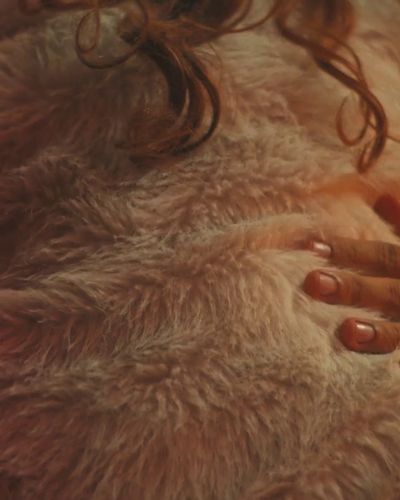 Jasmine