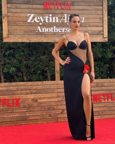 Seda Bakan seksi ifşa fotoğrafı 498