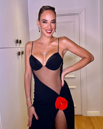 Seda Bakan seksi ifşa fotoğrafı 517