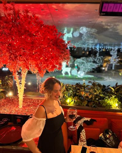 Seda Bakan seksi ifşa fotoğrafı 865