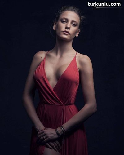 Serenay Sarıkaya seksi ifşa fotoğrafı 6 — Serenay Sarıkaya Sexy And Hot Photos Collection (2025)